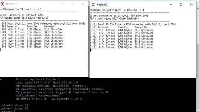 Bandwidth On Demand using Python-based Ryu Controller смотреть онлайн