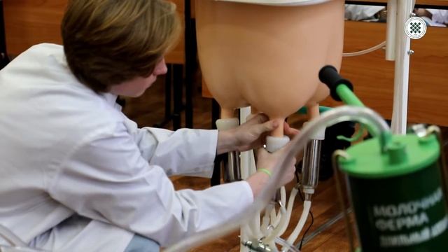 ЭКСКУРСИЯ ПО СЕЛЬСКОХОЗЯЙСТВЕННОМУ ИНСТИТУТУ И КОЛЛЕДЖУ ХГУ смотреть онлайн