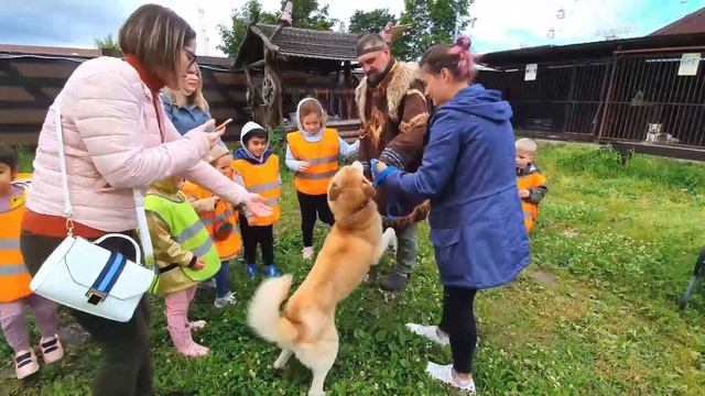 Хаски Лэнд - этнопарк в парке "Сказка" смотреть онлайн