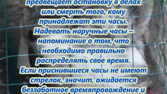 К чему снятся часы смотреть онлайн