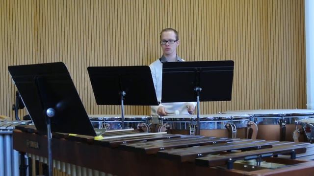 Eindexamen slagwerk 2013 - Pauken смотреть онлайн