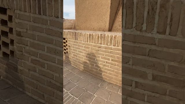 Пальмы Ирана смотреть онлайн