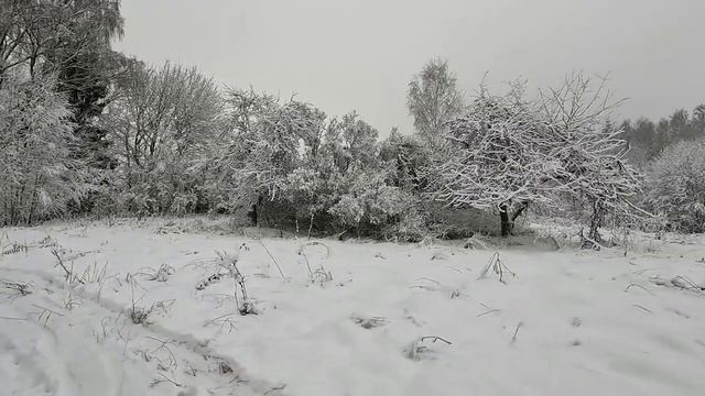 Идем на дело.Березовые ветки.Лайфхак от Шарана. смотреть онлайн