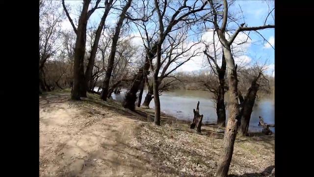 СИЛЬНЫЙ ПОДЪЁМ ВОДЫ В РЕКЕ ДНЕСТР / РЫБА ПОКА НЕ ЛОВИТСЯ 08 апреля 2021 смотреть онлайн
