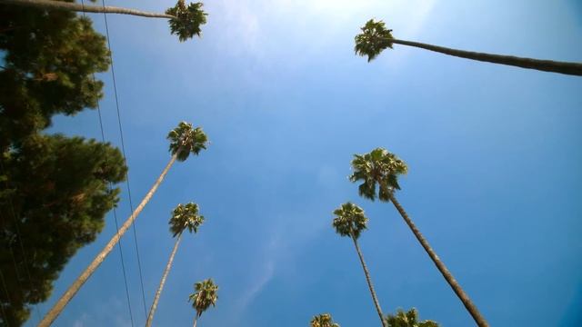 Лос-Анджелес ГОРОД ЗА 1 МИНУТУ. КРАСИВЫЕ МЕСТА ЛОС-АНДЖЕЛЕСА. смотреть онлайн