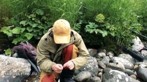 Верховой настрой на Хариуса-Балда. Полный монтаж и рыбалка