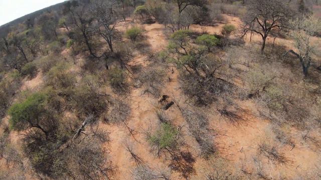 WP FPV Drone Flight 1 смотреть онлайн