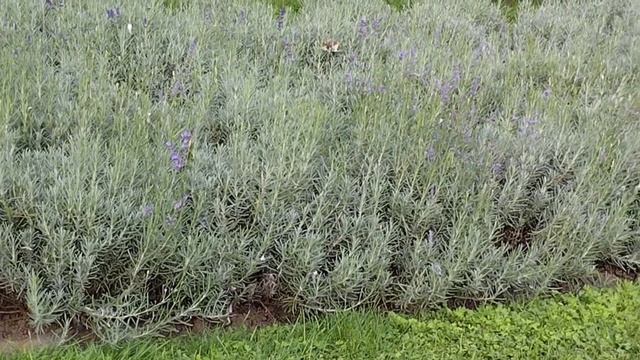 Глава 18 Как Реагировать На Критику Джоэл Остин Стать Ещё Лучше . ?#аудиокниги #книги смотреть онлайн