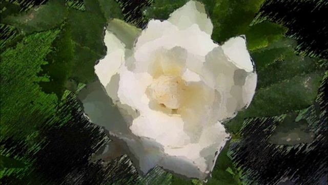 gardenia 2 смотреть онлайн