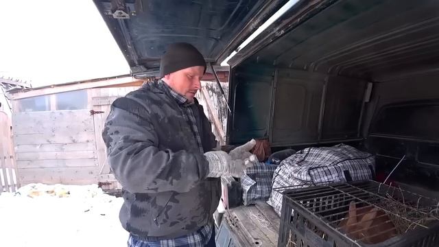 Воруем с женой дрова. Купили опилки на подстилку. Поездка за кролом. Омск Москаленки жизнь в деревн смотреть онлайн