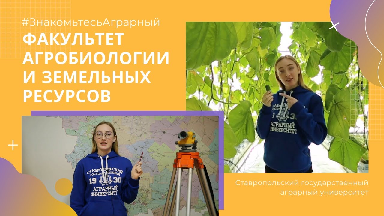 Знакомьтесь – Аграрный! (факультет агрономический и защиты растений) смотреть онлайн