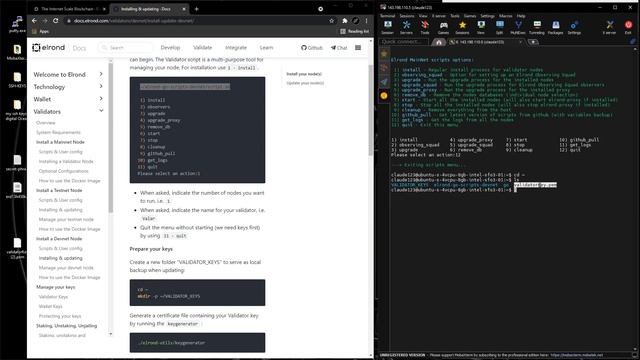 How to build a MultiversX (former Elrond) node - Part 11 - Delete a Node & Unstake it смотреть онлайн