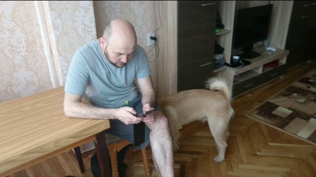 Наша квартира в Киеве смотреть онлайн