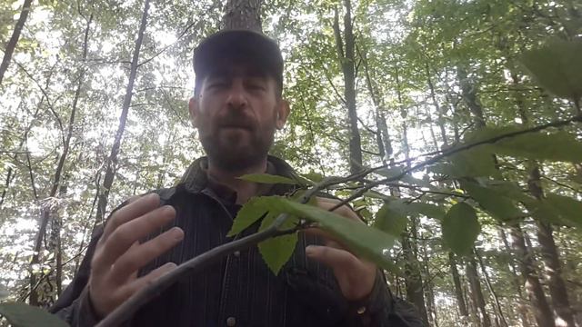 Юлиан и Татьяна, будьте счастливы, пусть полнота и изобилие во всем в вашем доме. И всегда вместе! смотреть онлайн