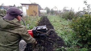 Когда постоянно идут дожди... Обработка участка мотокультиватором. Вспашка земли в Новосибирске.