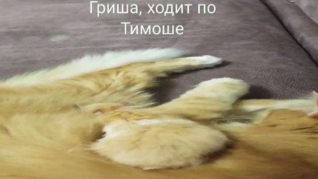 Они друзья. смотреть онлайн