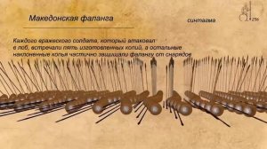 Македонская фаланга - структура и организация