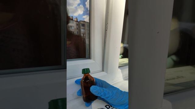 Что делать, если ваши грызуны грызут кабель от зарядки? смотреть онлайн