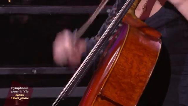Le Carnaval des animaux - Final / Orchestre Lamoureux, Debora Waldman et solistes смотреть онлайн