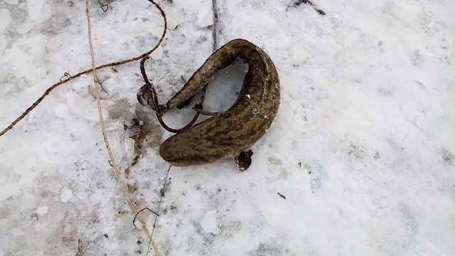 Проверка переметов. 06.12.2022г. смотреть онлайн