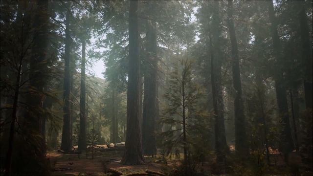 Skyrim: Winds of Keizaal - Pine Forest смотреть онлайн