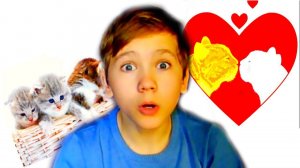 Никиса СПАСАЕТ своих КОТЯТ, а кошечка Марфа ВЛЮБИЛАСЬ в КОТА.