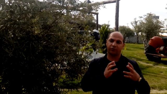 Это целая наука ..Какое масло используют в салаты? Какое для жарки? А какое для лечения? смотреть онлайн