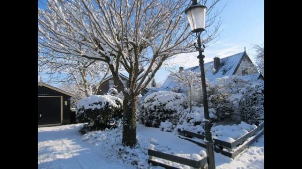 Rei Satoshi - New Year 2019