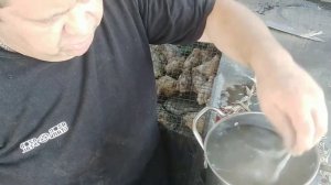 ЗАБОЙ ПЕРЕПЕЛОВ на мясо (Как правильно ощипать и разделать перепелку)