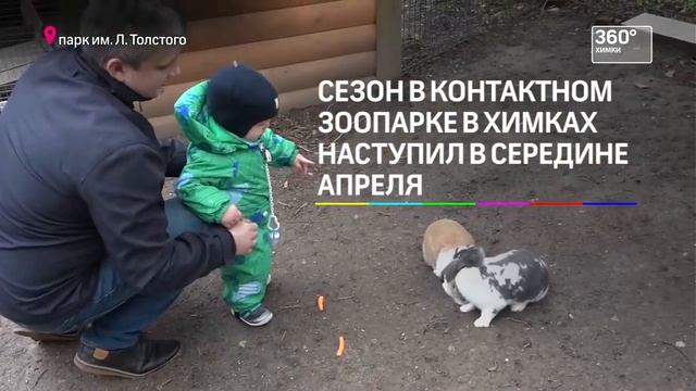 13.05.2017 Контактный зоопарк в парке им Л.Н.Толстого достойно пережил холода (360°) смотреть онлайн