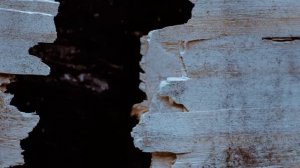 Притча - Веник