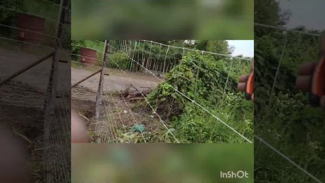 Быстрый монтаж шарнирной сетки, практически БЕЗ ИНСТРУМЕНТА. смотреть онлайн