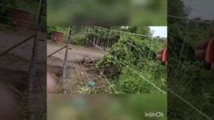 Быстрый монтаж шарнирной сетки, практически БЕЗ ИНСТРУМЕНТА.