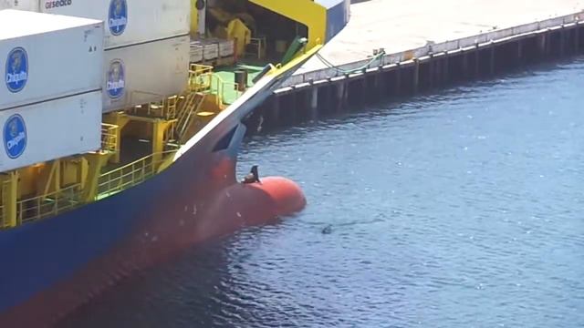 Царь горы (King of the Hill(Bulb)) смотреть онлайн