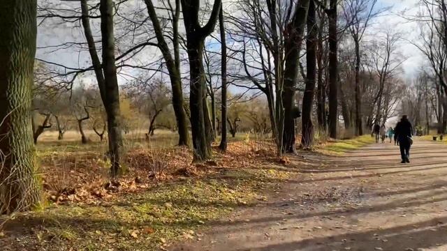 ЯСНАЯ ПОЛЯНА ноябрь 2020/ Тула и Тульский Кремль ? смотреть онлайн