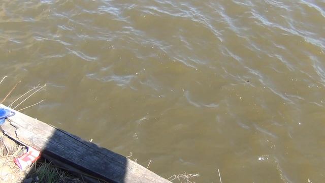 Наловил 3 ведра ельца, захватывающая рыбалка на ельца смотреть онлайн