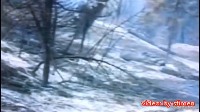 Mendi Mengjiqi Symphonic Pain смотреть онлайн