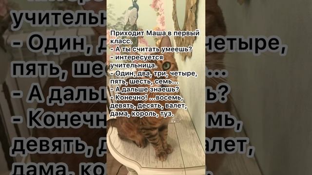 Считать умеешь? #анекдоты #анекдототкожаного #анекдоткороткий смотреть онлайн