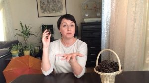 Ирина Круглова, музыкальный руководитель Школы № 1384. Игры с шишками