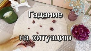 Гадание на ситуацию. Гадание на бобах
