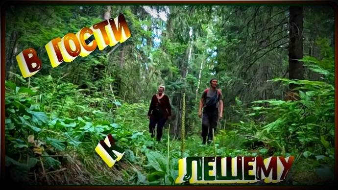 Поход в лес к Йети, Тайные тропы познания. смотреть онлайн