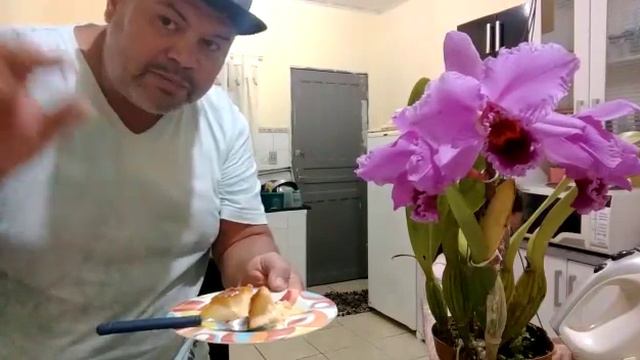 Pudim de pão e Cattleya persivaliana parte 2 смотреть онлайн