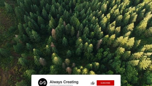 How to Create a SMOOTH ZOOM In/Out Transition - Adobe Premiere Pro CC Tutorial смотреть онлайн