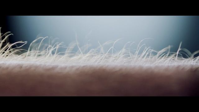 Meet the Dynaudio Xeo 2 speaker system