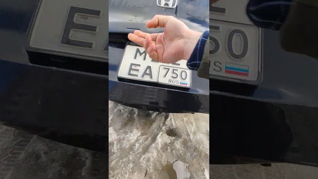 фрид спайк 4 вд