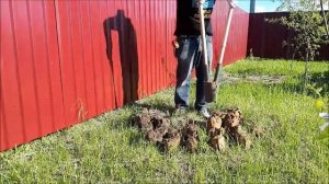 Инструмент для копки ям не бур