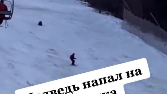 медведь напал на лыжника смотреть онлайн