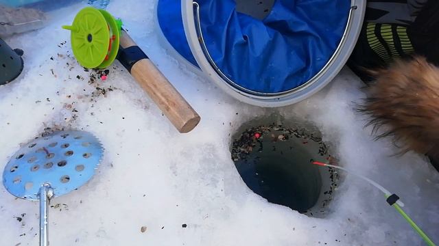 Зимняя рыбалка на плотву. Рыбалка 2021. смотреть онлайн