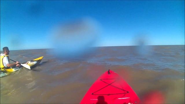 Kayak - San Clemente Del Tuyú - Koi - Honu - Sit On Top - Verano