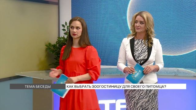 Как выбрать зоогостиницу для своего питомца? смотреть онлайн